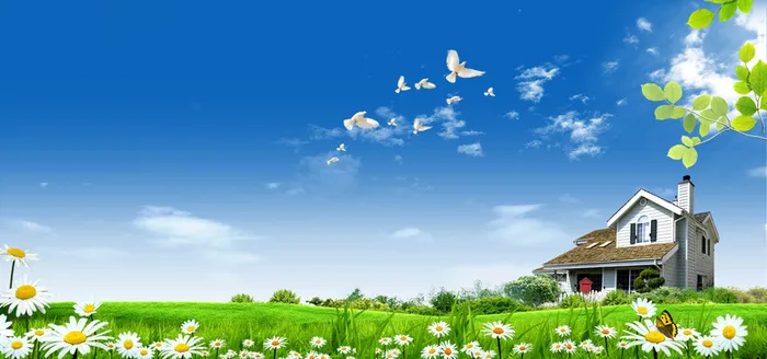 绿色家园高清