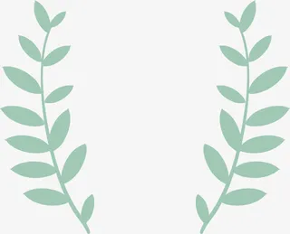 矢量绿叶边框免抠