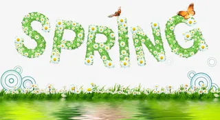 春天绿色水波花草背景素材