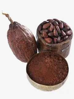 可可果可可豆粉末免抠 可可果可可豆粉末免抠
