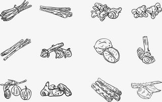 自然草图草本香料食品免抠