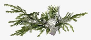 树枝绿色树枝装饰免抠