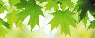 天猫 淘宝 banner 海报高清