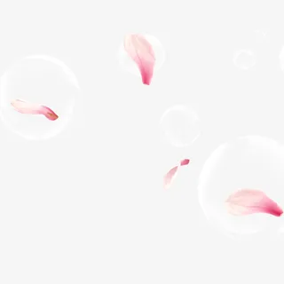 花瓣漂浮免抠