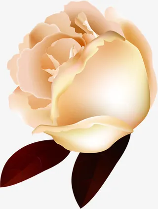 盛开花朵婚礼展架图片免抠