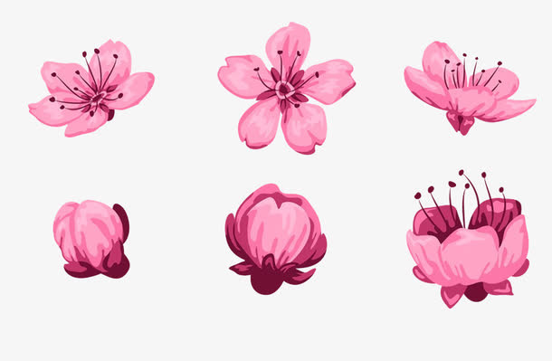 粉色的花免抠