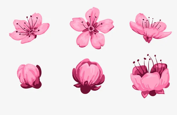 粉色的花免抠