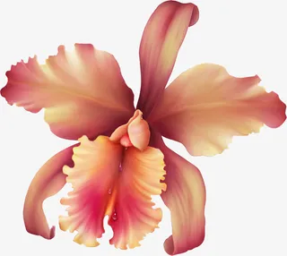 手绘鲜花春季素材18免抠