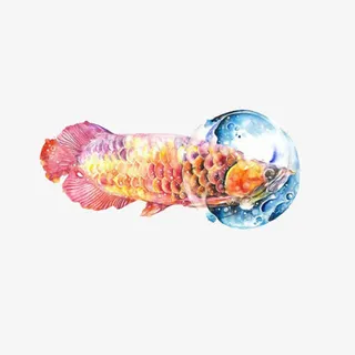 年年有鱼唯美水彩画免抠