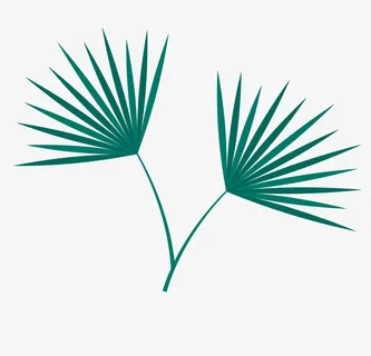 绿色可爱的叶子免抠