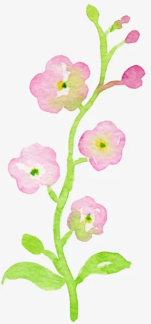 好看梅花水彩免抠