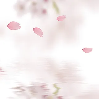 粉色花瓣淡雅化妆品主图背景素材高清