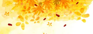 金秋枫叶黄色背景高清