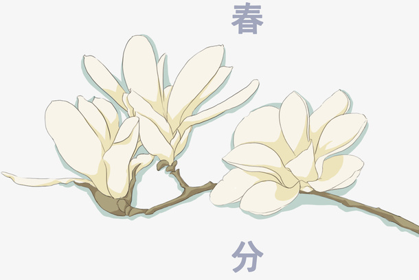 春分节气装饰手绘鲜花插画免抠手绘/卡通卡通元素