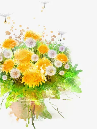 一簇小菊花免抠