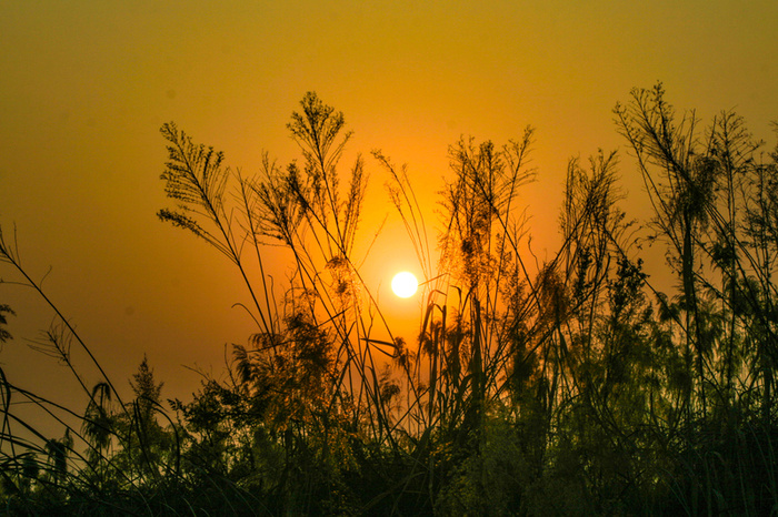 夕阳 冬天 太阳 黄昏高清