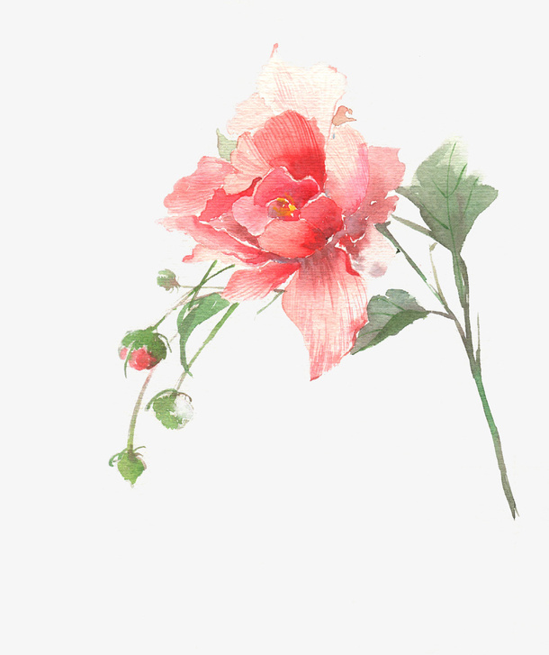 手绘彩色玫瑰花免抠