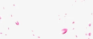 飘动的花瓣免抠