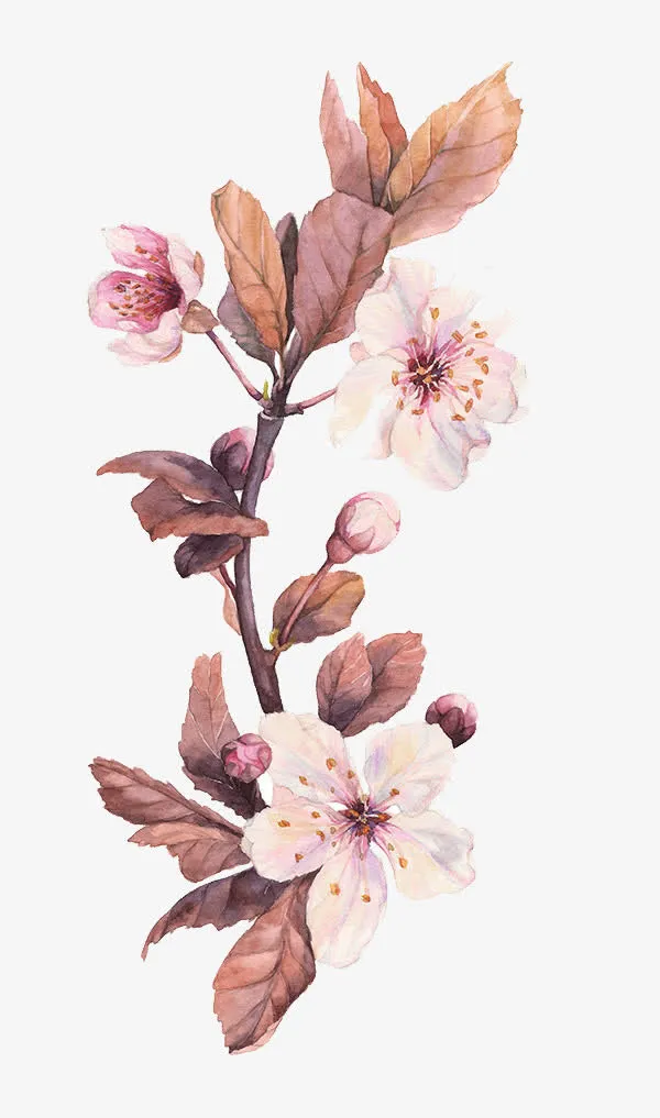 粉色桃花免抠