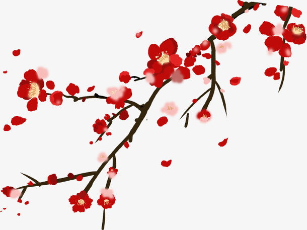 一直红梅出墙来免抠