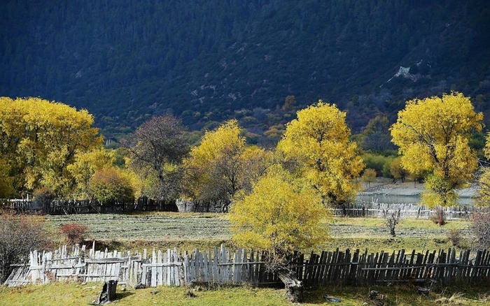 风景,素材,背景,PNG高清