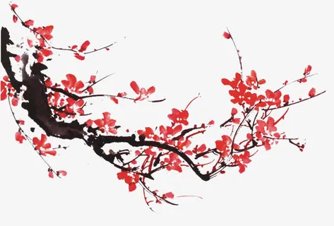 水墨梅花免抠 水墨梅花免抠