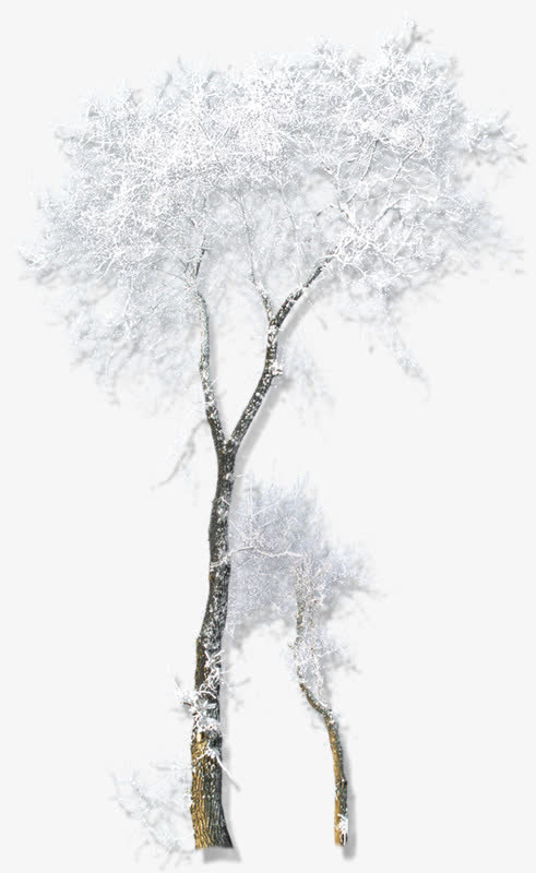 枯树枝雪花装饰免抠