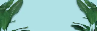 绿叶蓝色背景海报banner