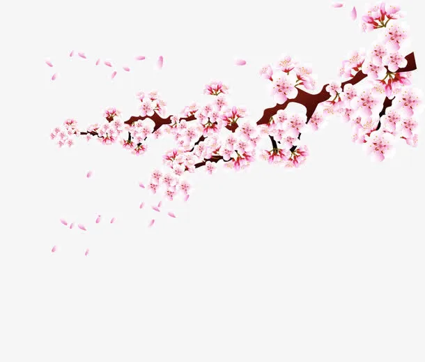 手绘植物花枝花瓣免抠