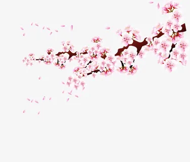 手绘植物花枝花瓣免抠