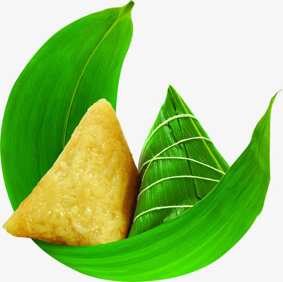 粽子芦苇叶子免抠