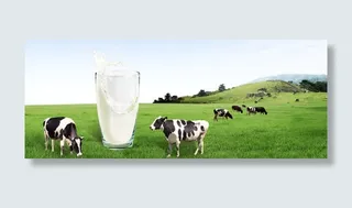 牛奶背景免抠