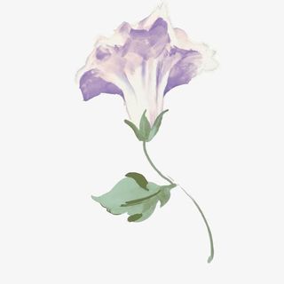 一朵唯美的水彩牵牛花免抠