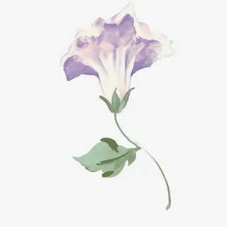 一朵唯美的水彩牵牛花免抠