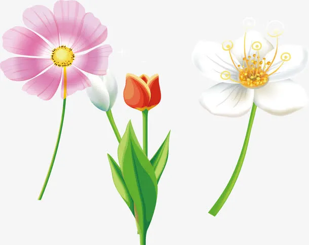 卡通花坪免抠