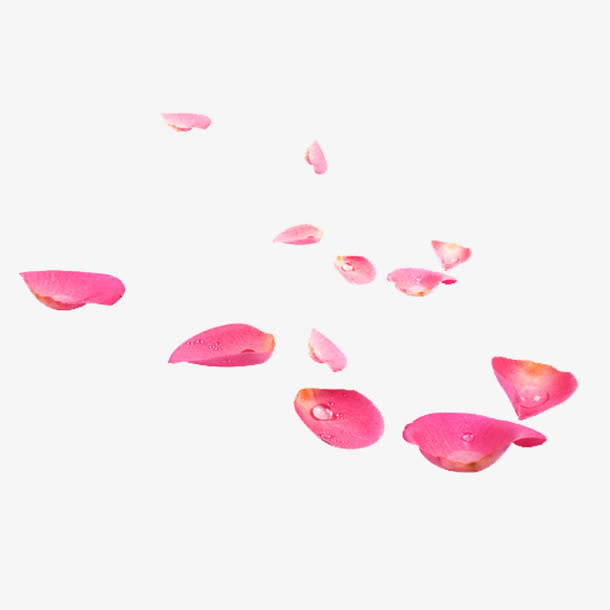 粉色花瓣免抠