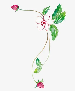 手绘草莓大花叶子免抠
