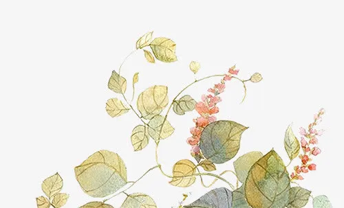 化妆品淘宝直通车提花图案素材免抠