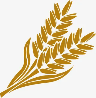 卡通农作物小麦图免抠