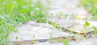 日系文艺清新淡色背景高清