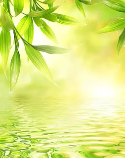 春天绿叶水纹壁纸免抠背景卡通/手绘元素 春天绿叶水纹壁纸免抠背景卡通/手绘元素
