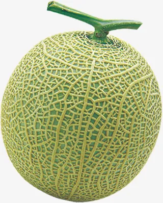 夏日水果哈密瓜效果免抠