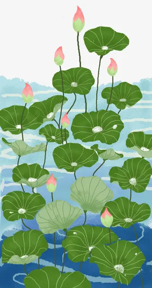 夏天荷塘荷花手绘插画免抠