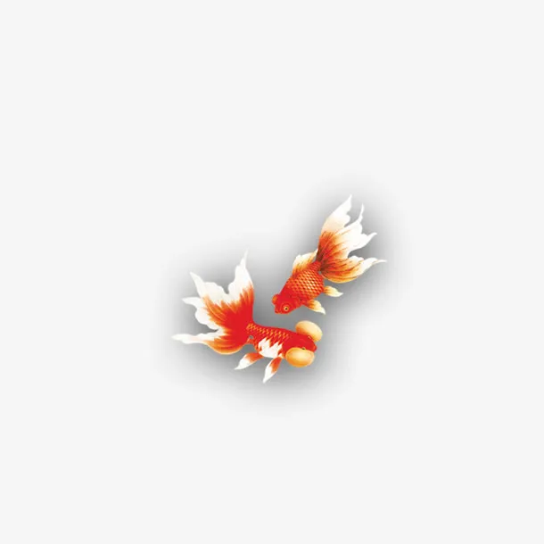 金鱼免抠