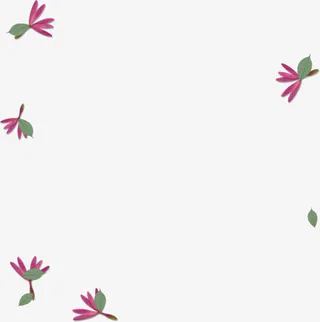 粉色细长小花落叶背景