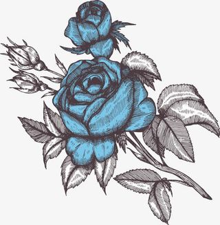 手绘玫瑰免抠