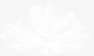 白色漂亮丝巾免抠