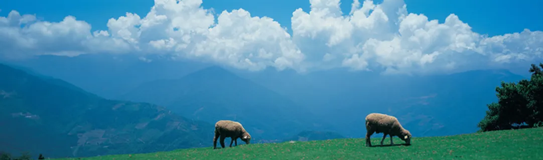 唯美背景摄影风景图高清