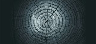 淘宝大气质感树轮纹理海报背景高清