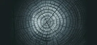 淘宝大气质感树轮纹理海报背景高清